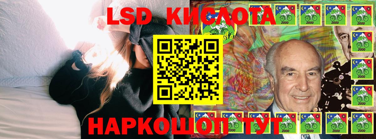 Новозыбков  Наркотические марки 1500мкг  Наркотические марки 1500мкг  Вход с VPN 