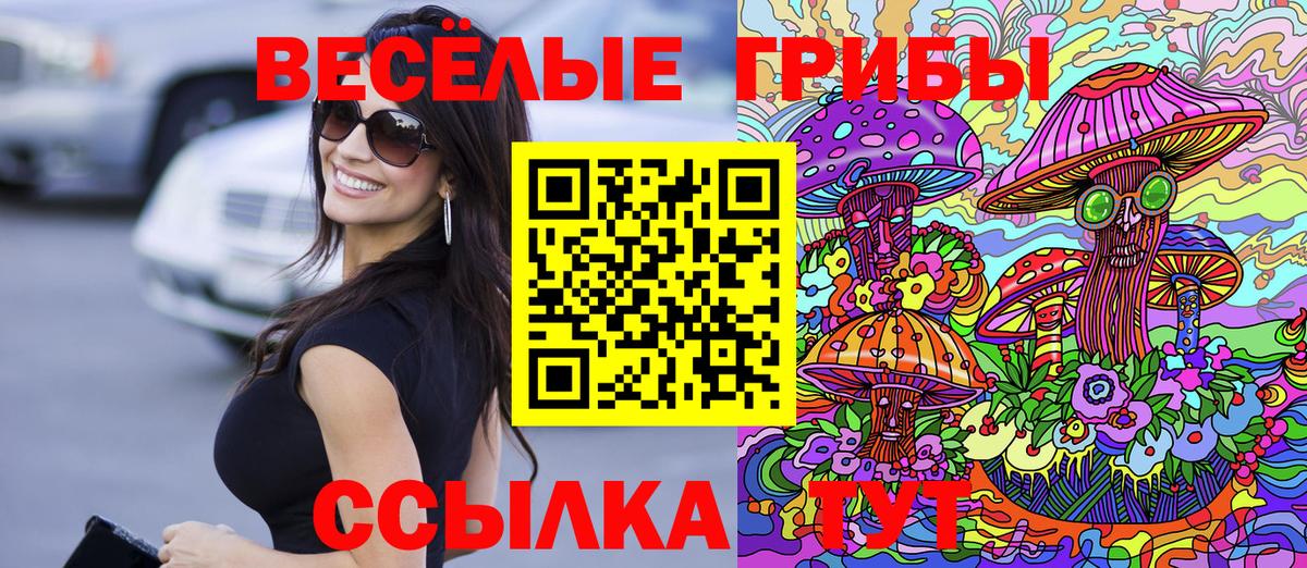 Галлюциногенные грибы Cubensis Новозыбков