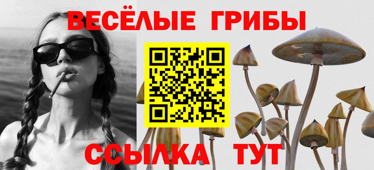 Псилоцибиновые грибы прущие грибы  Вход с VPN  Новозыбков 